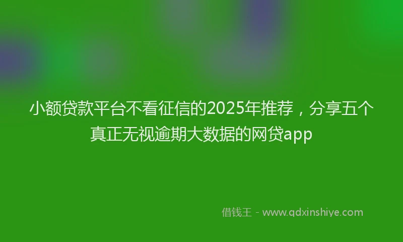 小额贷款平台不看征信的2025年推荐，分享五个真正无视逾期大数据的网贷app