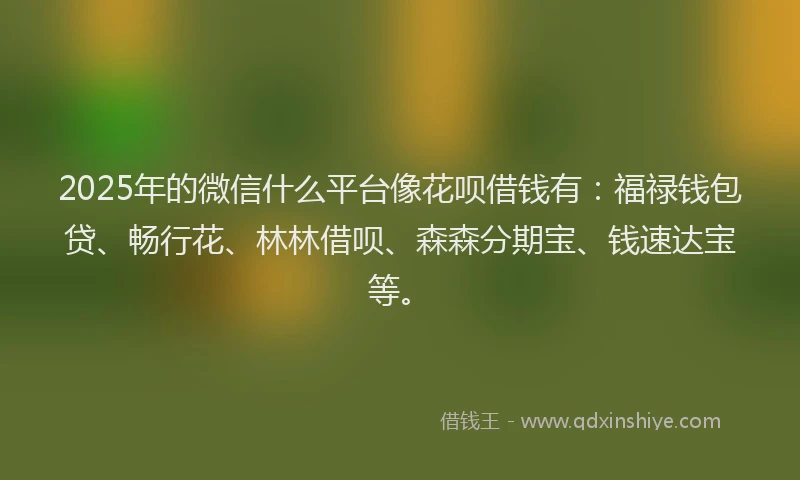 2025年的微信什么平台像花呗借钱有：福禄钱包贷、畅行花、林林借呗、森森分期宝、钱速达宝等。