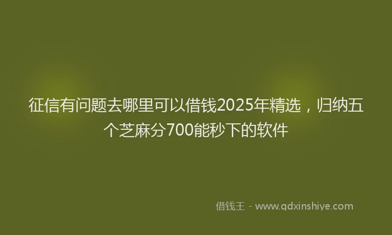 征信有问题去哪里可以借钱2025年精选，归纳五个芝麻分700能秒下的软件