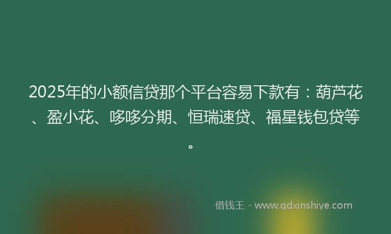2025年的小额信贷那个平台容易下款有：葫芦花、盈小花、哆哆分期、恒瑞速贷、福星钱包贷等。