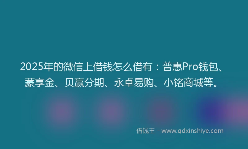 2025年的微信上借钱怎么借有：普惠Pro钱包、蒙享金、贝赢分期、永卓易购、小铭商城等。