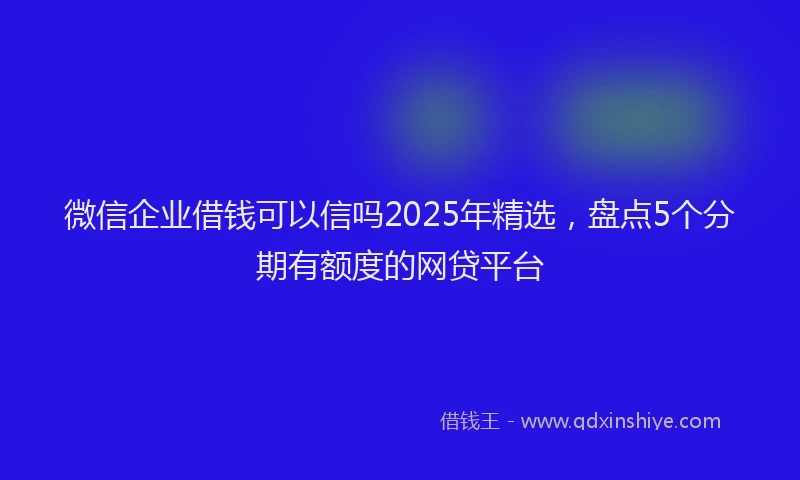 微信企业借钱可以信吗2025年精选，盘点5个分期有额度的网贷平台