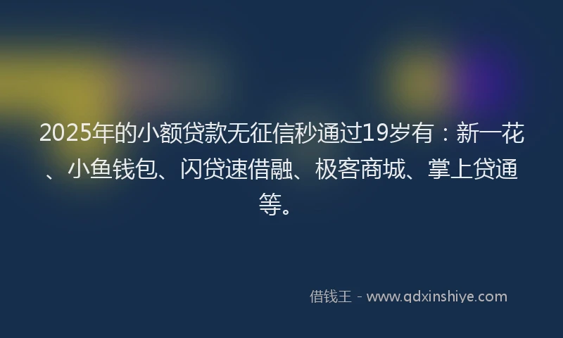 2025年的小额贷款无征信秒通过19岁有：新一花、小鱼钱包、闪贷速借融、极客商城、掌上贷通等。