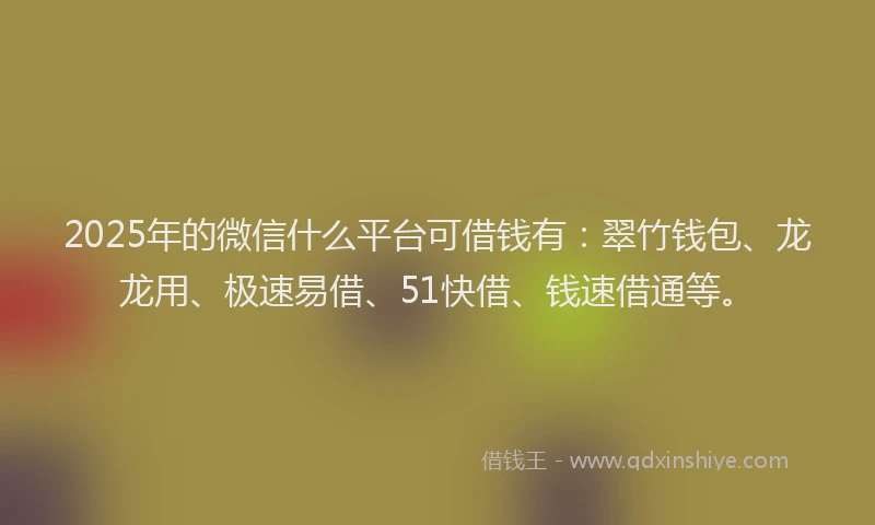 2025年的微信什么平台可借钱有：翠竹钱包、龙龙用、极速易借、51快借、钱速借通等。