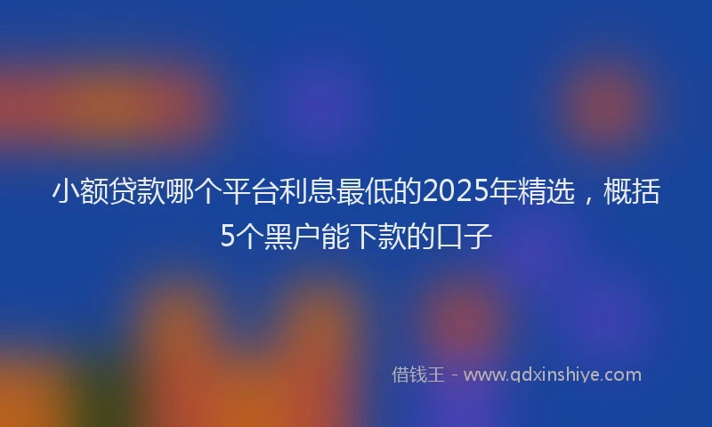 小额贷款哪个平台利息最低的2025年精选，概括5个黑户能下款的口子