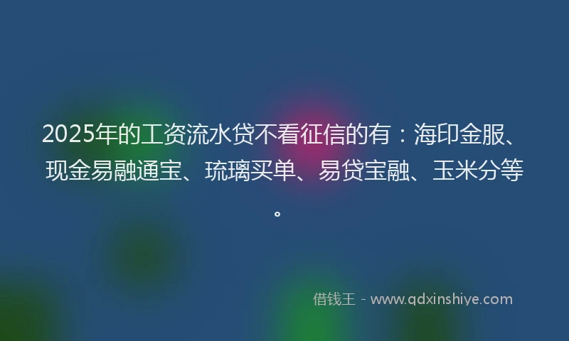 2025年的工资流水贷不看征信的有：海印金服、现金易融通宝、琉璃买单、易贷宝融、玉米分等。
