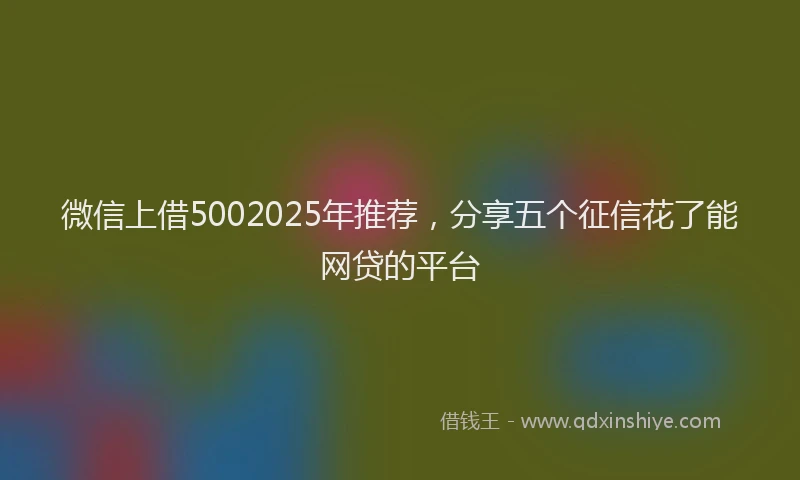 微信上借5002025年推荐，分享五个征信花了能网贷的平台