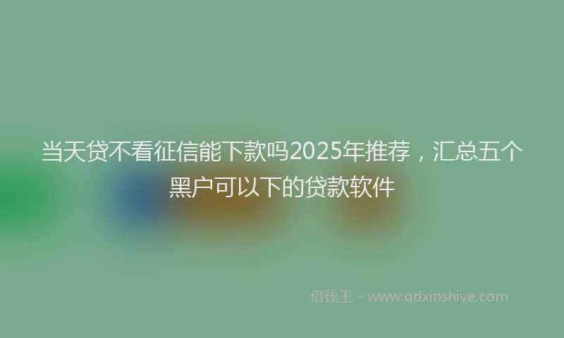 当天贷不看征信能下款吗2025年推荐，汇总五个黑户可以下的贷款软件