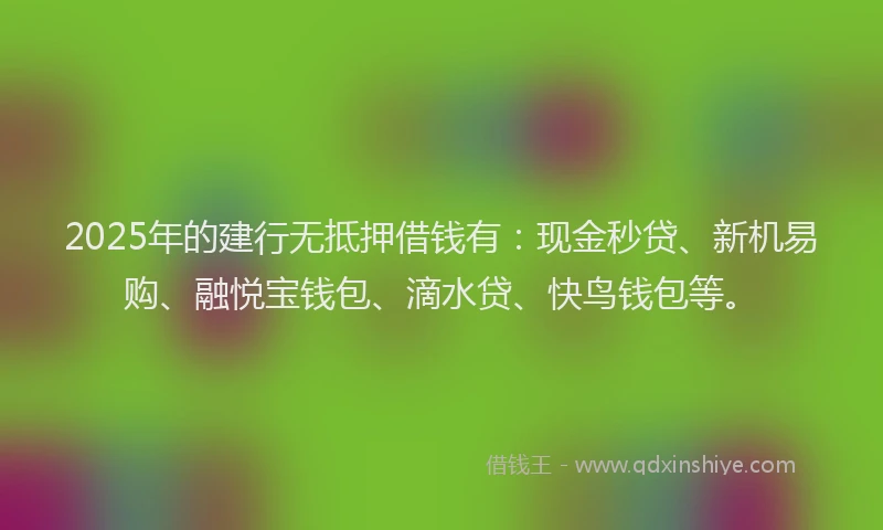2025年的建行无抵押借钱有：现金秒贷、新机易购、融悦宝钱包、滴水贷、快鸟钱包等。