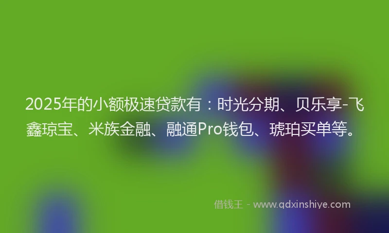 2025年的小额极速贷款有：时光分期、贝乐享-飞鑫琼宝、米族金融、融通Pro钱包、琥珀买单等。