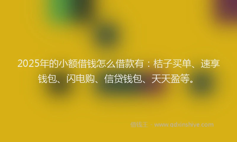 2025年的小额借钱怎么借款有：桔子买单、速享钱包、闪电购、信贷钱包、天天盈等。