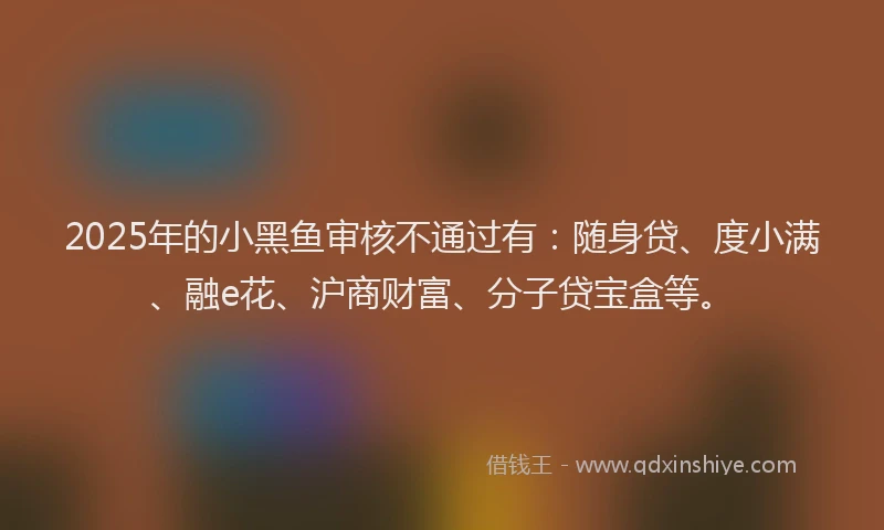2025年的小黑鱼审核不通过有：随身贷、度小满、融e花、沪商财富、分子贷宝盒等。