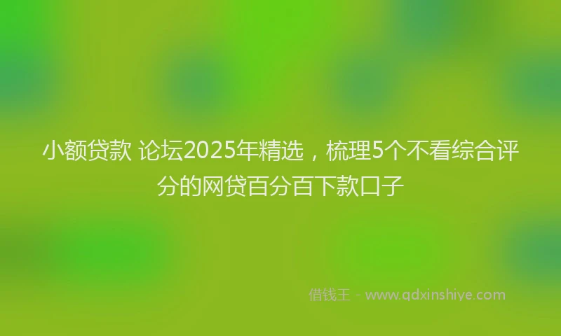 小额贷款 论坛2025年精选，梳理5个不看综合评分的网贷百分百下款口子