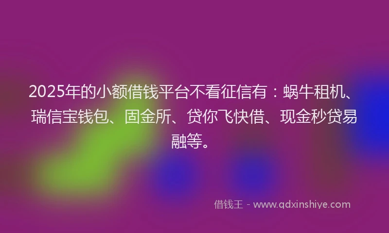 2025年的小额借钱平台不看征信有：蜗牛租机、瑞信宝钱包、固金所、贷你飞快借、现金秒贷易融等。