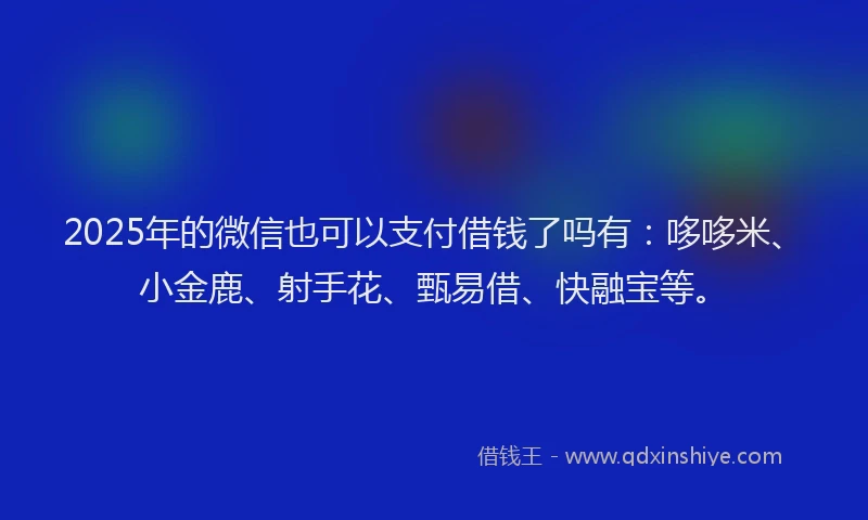 2025年的微信也可以支付借钱了吗有：哆哆米、小金鹿、射手花、甄易借、快融宝等。