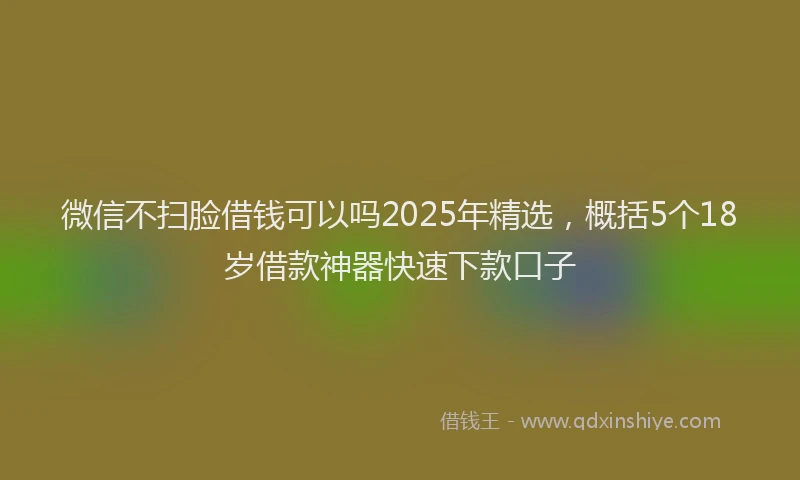 微信不扫脸借钱可以吗2025年精选，概括5个18岁借款神器快速下款口子