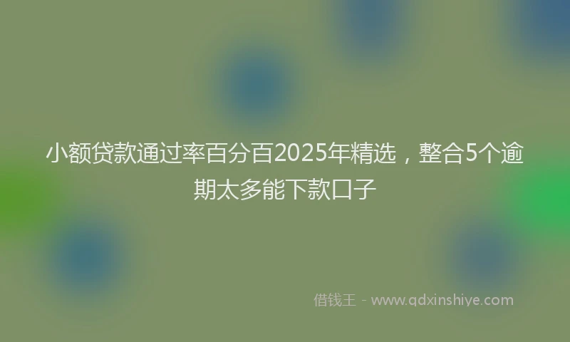 小额贷款通过率百分百2025年精选，整合5个逾期太多能下款口子
