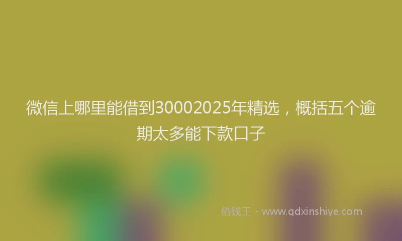 微信上哪里能借到30002025年精选，概括五个逾期太多能下款口子