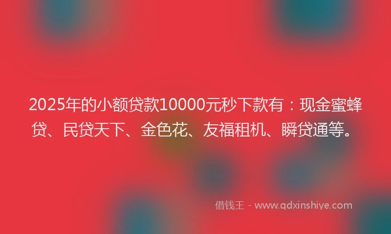 2025年的小额贷款10000元秒下款有：现金蜜蜂贷、民贷天下、金色花、友福租机、瞬贷通等。