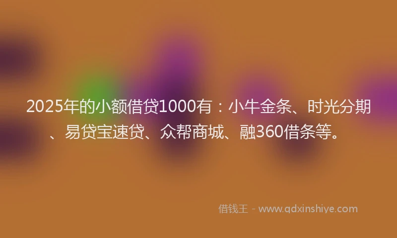 2025年的小额借贷1000有：小牛金条、时光分期、易贷宝速贷、众帮商城、融360借条等。