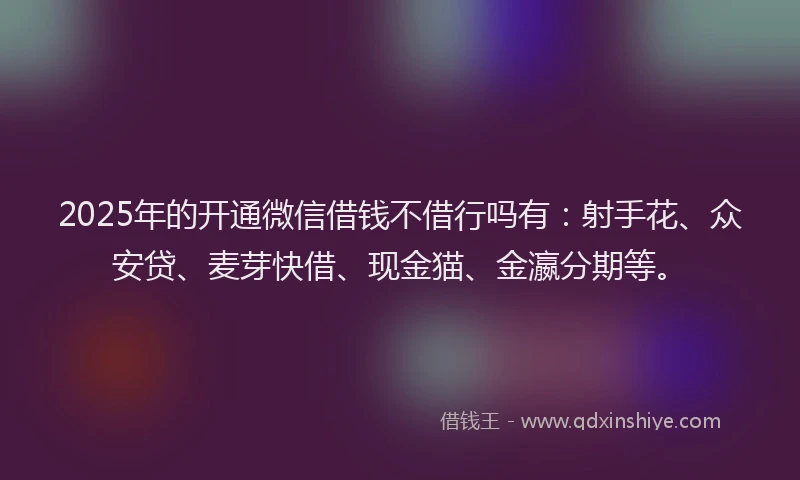 2025年的开通微信借钱不借行吗有：射手花、众安贷、麦芽快借、现金猫、金瀛分期等。