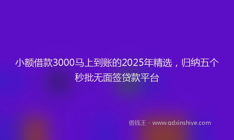 小额借款3000马上到账的2025年精选，归纳五个秒批无面签贷款平台