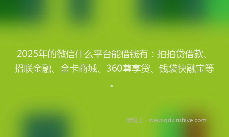 2025年的微信什么平台能借钱有：拍拍贷借款、招联金融、金卡商城、360尊享贷、钱袋快融宝等。