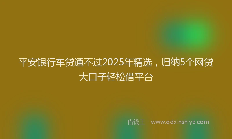 平安银行车贷通不过2025年精选，归纳5个网贷大口子轻松借平台