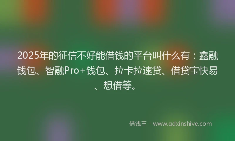 2025年的征信不好能借钱的平台叫什么有：鑫融钱包、智融Pro+钱包、拉卡拉速贷、借贷宝快易、想借等。