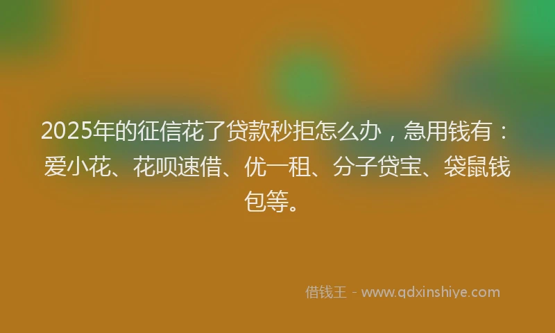 2025年的征信花了贷款秒拒怎么办，急用钱有：爱小花、花呗速借、优一租、分子贷宝、袋鼠钱包等。