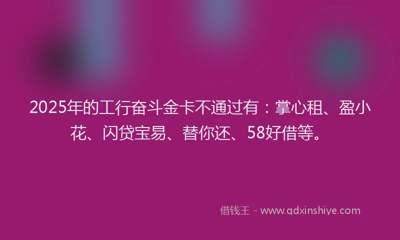 2025年的工行奋斗金卡不通过有：掌心租、盈小花、闪贷宝易、替你还、58好借等。