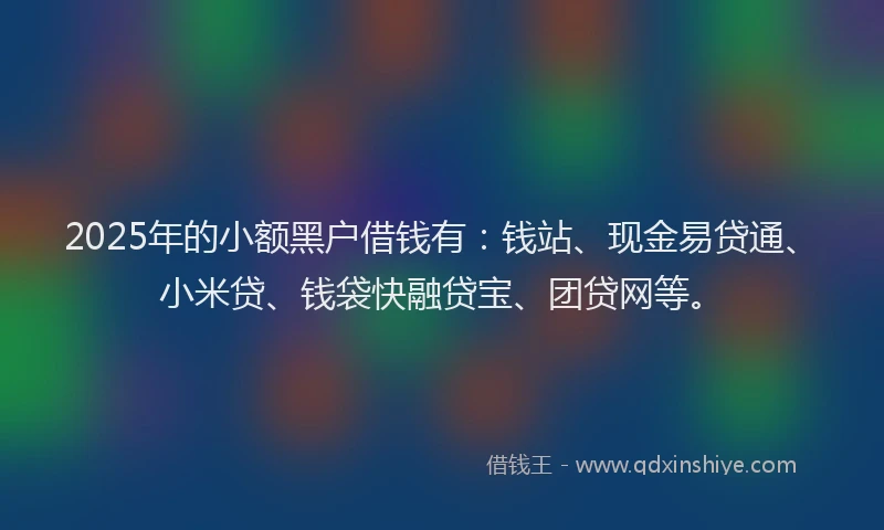 2025年的小额黑户借钱有：钱站、现金易贷通、小米贷、钱袋快融贷宝、团贷网等。