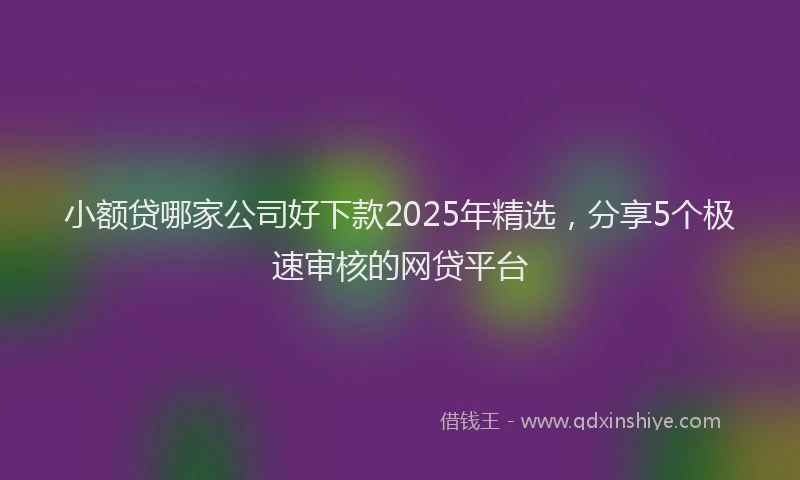 小额贷哪家公司好下款2025年精选，分享5个极速审核的网贷平台