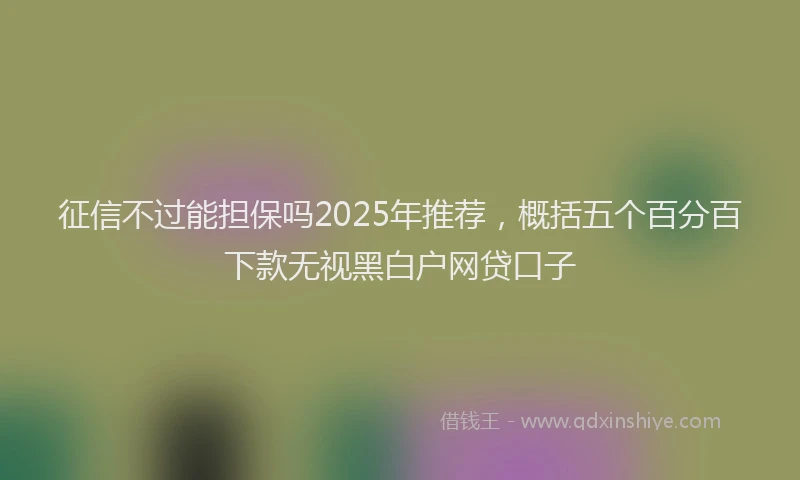 征信不过能担保吗2025年推荐，概括五个百分百下款无视黑白户网贷口子