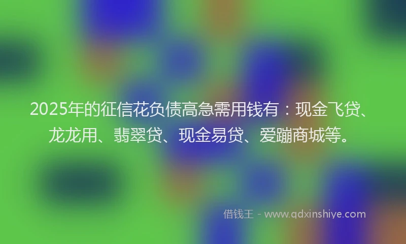 2025年的征信花负债高急需用钱有：现金飞贷、龙龙用、翡翠贷、现金易贷、爱蹦商城等。