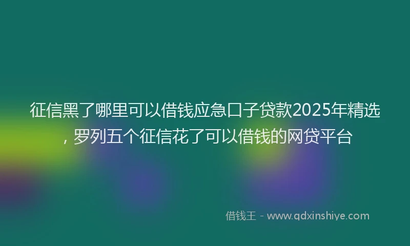 征信黑了哪里可以借钱应急口子贷款2025年精选，罗列五个征信花了可以借钱的网贷平台