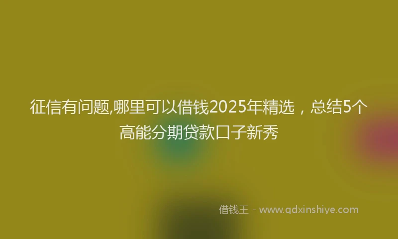 征信有问题,哪里可以借钱2025年精选，总结5个高能分期贷款口子新秀