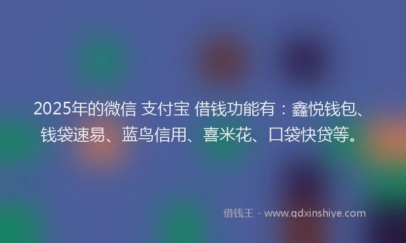 2025年的微信 支付宝 借钱功能有：鑫悦钱包、钱袋速易、蓝鸟信用、喜米花、口袋快贷等。