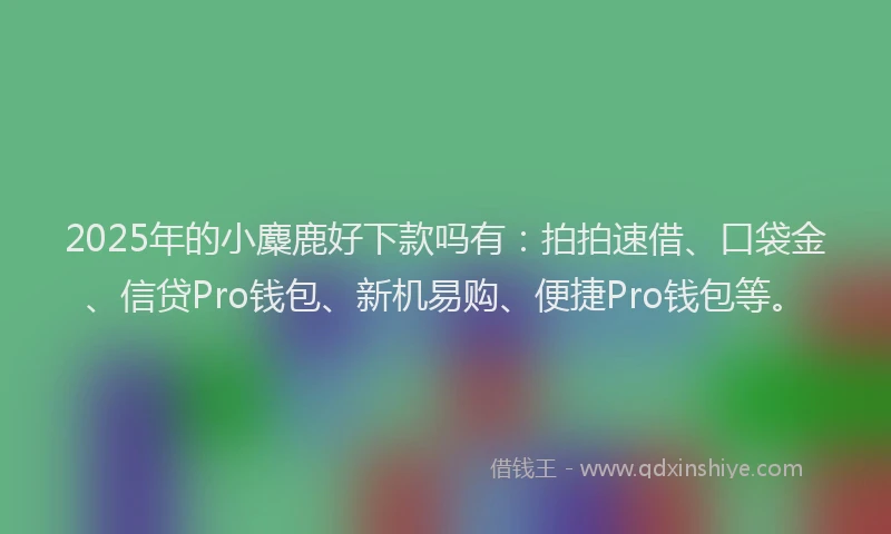 2025年的小麋鹿好下款吗有：拍拍速借、口袋金、信贷Pro钱包、新机易购、便捷Pro钱包等。