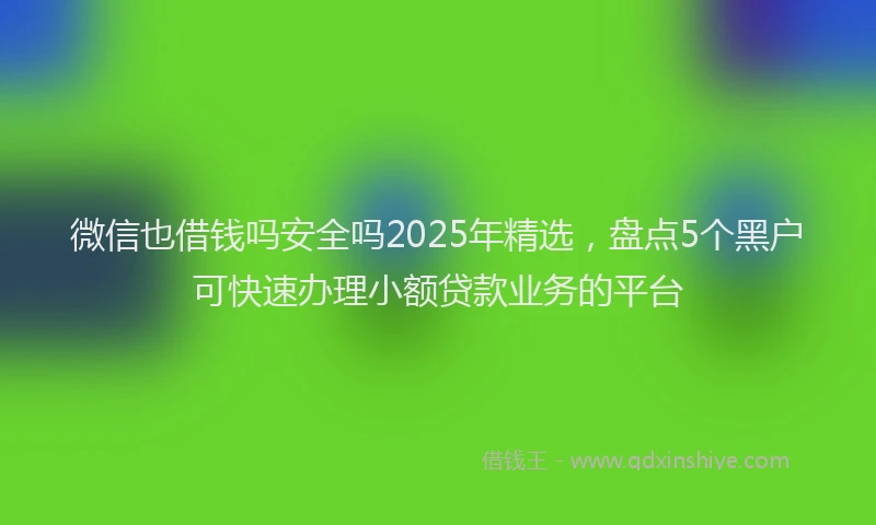 微信也借钱吗安全吗2025年精选，盘点5个黑户可快速办理小额贷款业务的平台