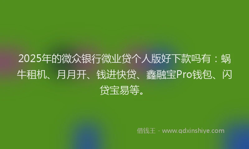2025年的微众银行微业贷个人版好下款吗有：蜗牛租机、月月开、钱进快贷、鑫融宝Pro钱包、闪贷宝易等。