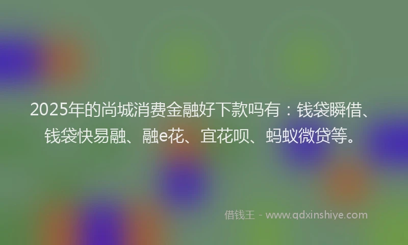 2025年的尚城消费金融好下款吗有：钱袋瞬借、钱袋快易融、融e花、宜花呗、蚂蚁微贷等。