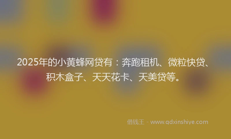 2025年的小黄蜂网贷有：奔跑租机、微粒快贷、积木盒子、天天花卡、天美贷等。