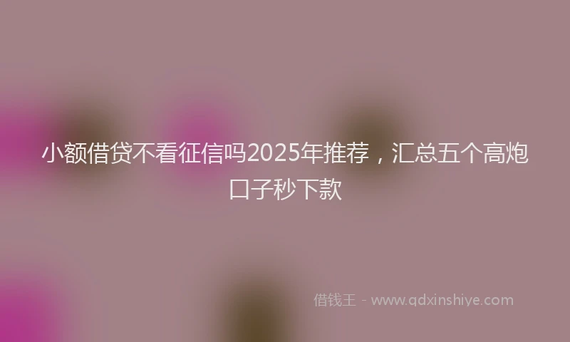 小额借贷不看征信吗2025年推荐，汇总五个高炮口子秒下款