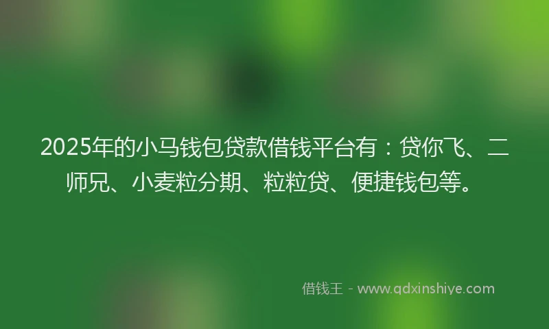2025年的小马钱包贷款借钱平台有：贷你飞、二师兄、小麦粒分期、粒粒贷、便捷钱包等。