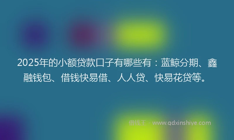 2025年的小额贷款口子有哪些有：蓝鲸分期、鑫融钱包、借钱快易借、人人贷、快易花贷等。