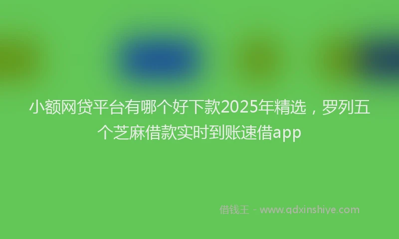 小额网贷平台有哪个好下款2025年精选，罗列五个芝麻借款实时到账速借app