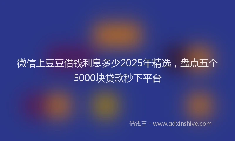 微信上豆豆借钱利息多少2025年精选，盘点五个5000块贷款秒下平台