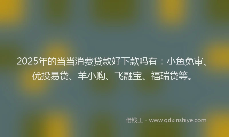 2025年的当当消费贷款好下款吗有：小鱼免审、优投易贷、羊小购、飞融宝、福瑞贷等。