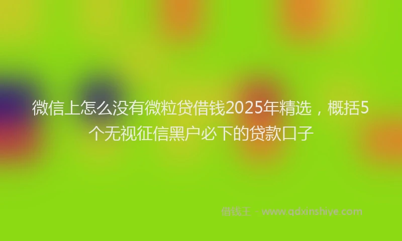 微信上怎么没有微粒贷借钱2025年精选，概括5个无视征信黑户必下的贷款口子